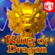 Hỗ trợ chuyên nghiệp 8live